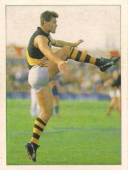 1992 Select AFL Stickers #197 Terry Keays Front